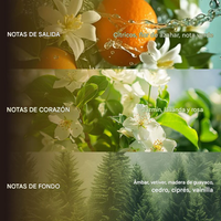 Perfume Duradero – Vainilla, Almizcle y Notas Amaderadas